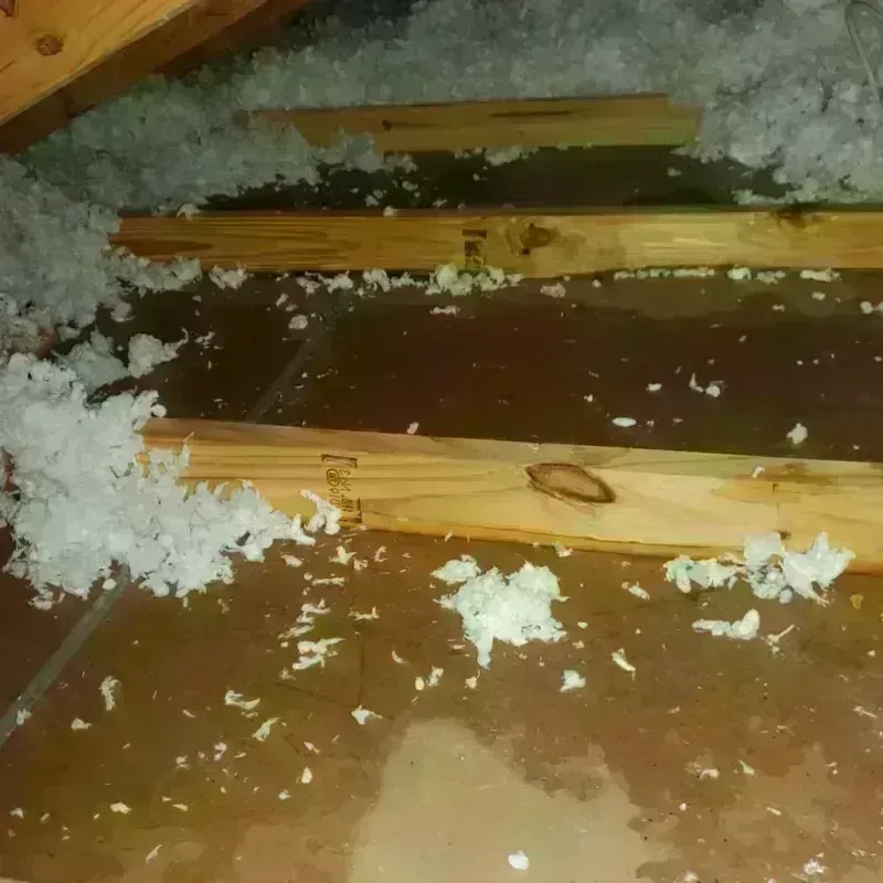 Attic Water Damage in Harvey, ND