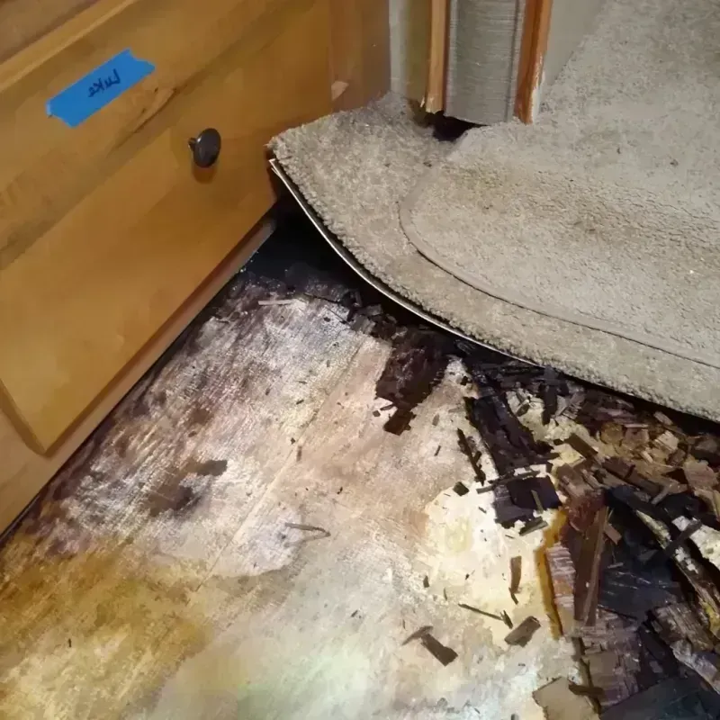 Wood Floor Water Damage in Harvey, ND